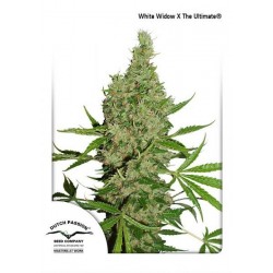 WHITE WIDOW X THE ULTIMATE