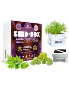 SEEDBOX COLLECTION AROMATICA
