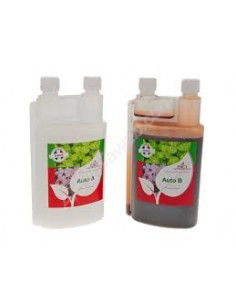 BIO TECHNOLOGY AUTO A+B  250ML