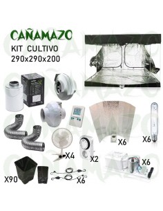 KIT DE CULTIVO 290X290X200 CM