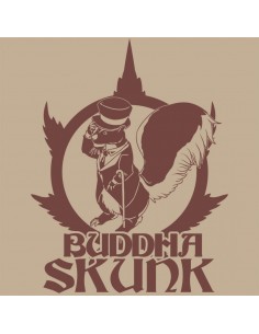 BUDDHA SKUNK