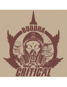 BUDDHA CRITICAL