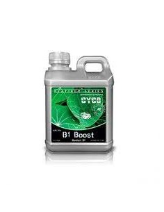 CYCO BOOST B1