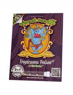 TROPICANNA POISON F1 FAST...