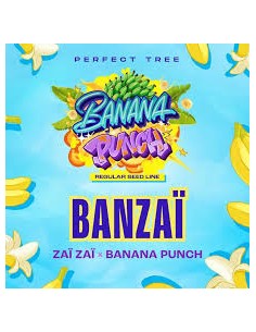 BANZAI REGULAR