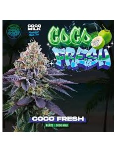 COCO FRESH FEMINIZADA