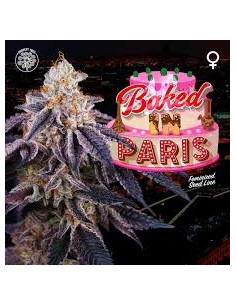 BAKED IN PARIS FEMINIZADA