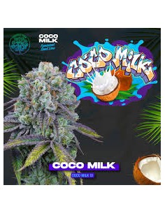 COCO MILK S1 FEMINIZADA