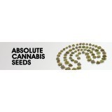 Semillas feminizadas Absolute Cannabis Seeds | Cañamazo