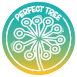 PERFECT TREE 